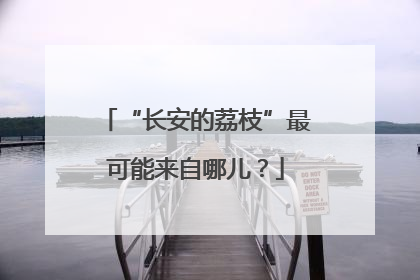 “长安的荔枝”最可能来自哪儿？
