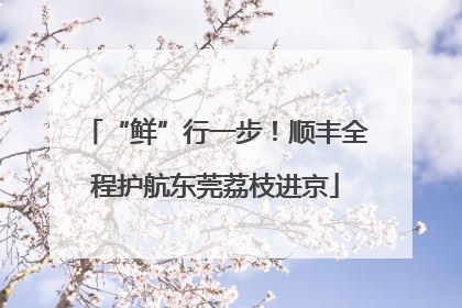 “鲜”行一步！顺丰全程护航东莞荔枝进京