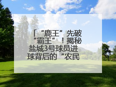 “鹿王”先破“霸王”！揭秘盐城3号球员进球背后的“农民街游侠”联盟