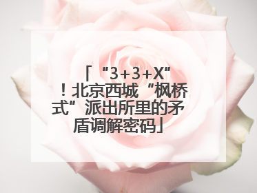 “3+3+X”！北京西城“枫桥式”派出所里的矛盾调解密码