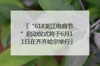 “618龙江电商节”启动仪式将于6月11日在齐齐哈尔举行