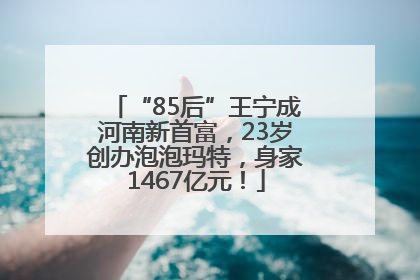 “85后”王宁成河南新首富，23岁创办泡泡玛特，身家1467亿元！