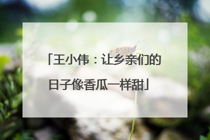 王小伟：让乡亲们的日子像香瓜一样甜