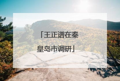 王正谱在秦皇岛市调研