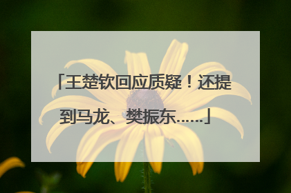 王楚钦回应质疑！还提到马龙、樊振东……