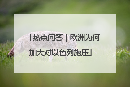 热点问答｜欧洲为何加大对以色列施压