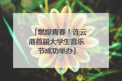 燃爆青春！连云港首届大学生音乐节成功举办
