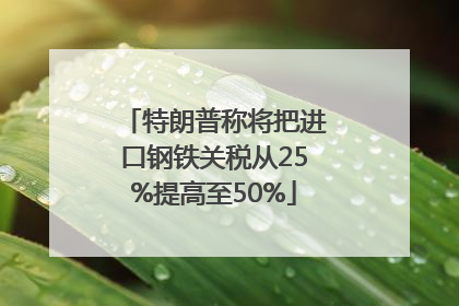 特朗普称将把进口钢铁关税从25%提高至50%