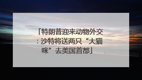特朗普迎来动物外交：沙特将送两只“大猫咪”去美国首都