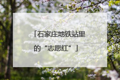 石家庄地铁站里的“志愿红”