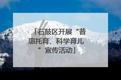 石鼓区开展“普惠托育、科学育儿”宣传活动