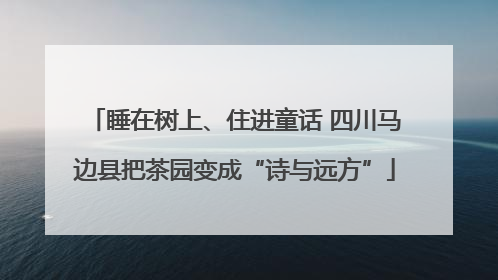 睡在树上、住进童话 四川马边县把茶园变成“诗与远方”