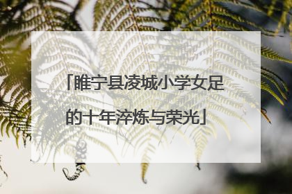 睢宁县凌城小学女足的十年淬炼与荣光