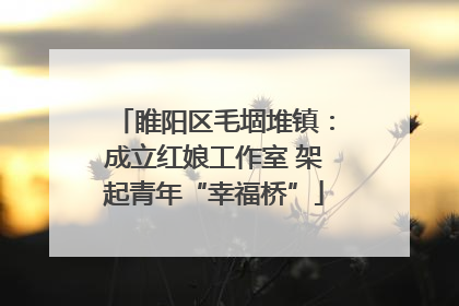 睢阳区毛堌堆镇：成立红娘工作室 架起青年“幸福桥”