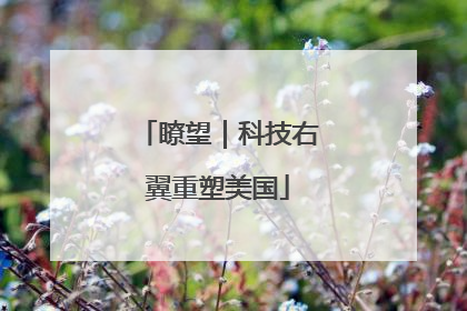 瞭望｜科技右翼重塑美国