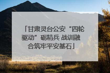 甘肃灵台公安“四轮驱动”砺精兵 战训融合筑牢平安基石