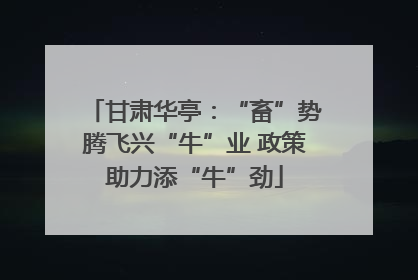 甘肃华亭：“畜”势腾飞兴“牛”业 政策助力添“牛”劲