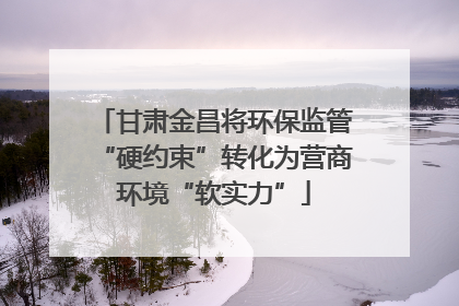 甘肃金昌将环保监管“硬约束”转化为营商环境“软实力”