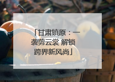 甘肃镇原：一袭剪云裳 解锁跨界新风尚