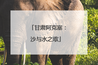 甘肃阿克塞：沙与水之歌