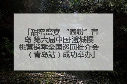 甜蜜盛宴 “圈粉”青岛 第六届中国·澄城樱桃营销季全国巡回推介会（青岛站）成功举办