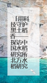 用科技守护黑土稻香——探访中国水稻研究所北方水稻研究中心