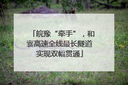 皖豫“牵手”，和襄高速全线最长隧道实现双幅贯通