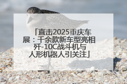 直击2025重庆车展：千余款新车型亮相 歼-10C战斗机与人形机器人引关注