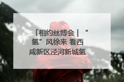 相约丝博会｜“氢”风徐来 看西咸新区泾河新城氢能产业聚链成势