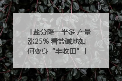 盐分降一半多 产量涨25% 看盐碱地如何变身“丰收田”