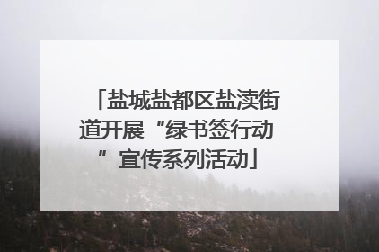 盐城盐都区盐渎街道开展“绿书签行动”宣传系列活动