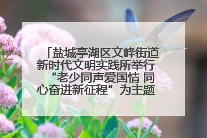 盐城亭湖区文峰街道新时代文明实践所举行“老少同声爱国情 同心奋进新征程”为主题的红色文化活动