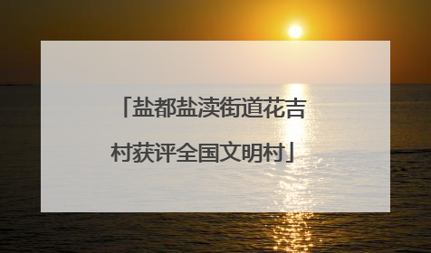 盐都盐渎街道花吉村获评全国文明村