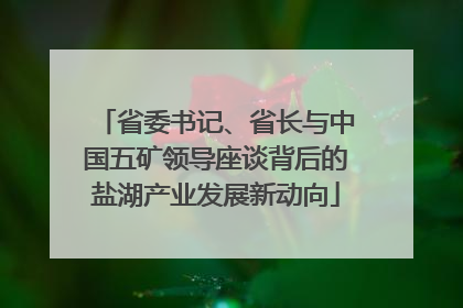 省委书记、省长与中国五矿领导座谈背后的盐湖产业发展新动向