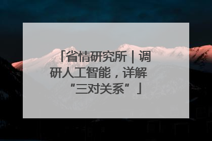 省情研究所｜调研人工智能，详解“三对关系”
