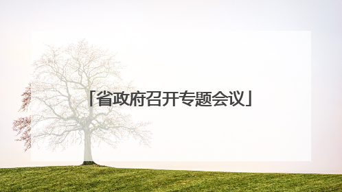 省政府召开专题会议