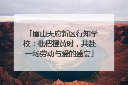 眉山天府新区行知学校：枇杷橙黄时，共赴一场劳动与爱的盛宴
