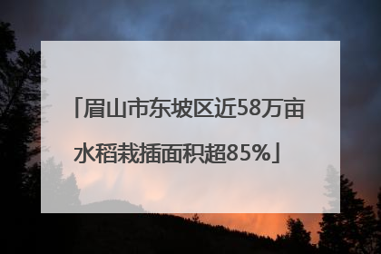 眉山市东坡区近58万亩水稻栽插面积超85%