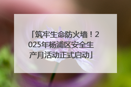 筑牢生命防火墙！2025年杨浦区安全生产月活动正式启动