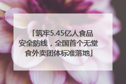 筑牢5.45亿人食品安全防线，全国首个无堂食外卖团体标准落地