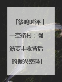 筝鸣时评丨一空桥村：强筋麦丰收背后的振兴密码