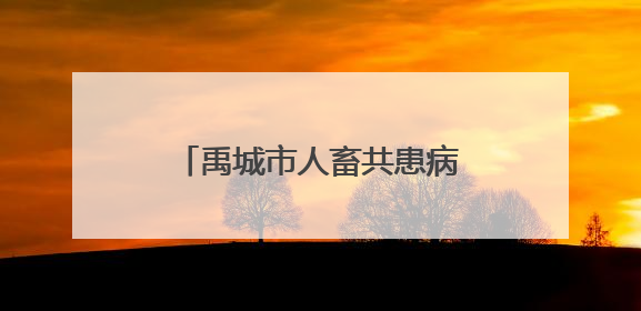禹城市人畜共患病防控微电影进乡村