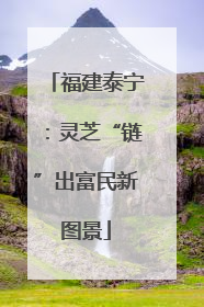 福建泰宁：灵芝“链”出富民新图景
