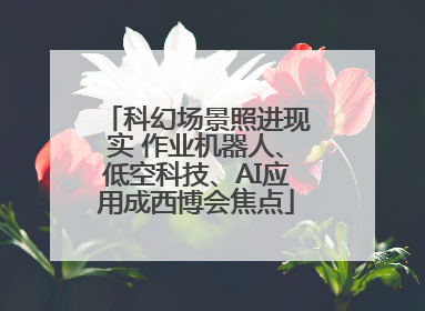 科幻场景照进现实 作业机器人、低空科技、AI应用成西博会焦点