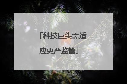 科技巨头需适应更严监管
