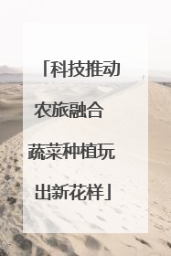 科技推动农旅融合 蔬菜种植玩出新花样