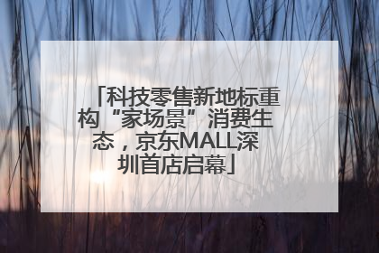 科技零售新地标重构“家场景”消费生态，京东MALL深圳首店启幕