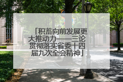 积蓄向前发展更大推动力——三论贯彻落实省委十四届九次全会精神