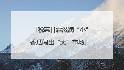 税惠甘霖滋润“小”香瓜闯出“大”市场