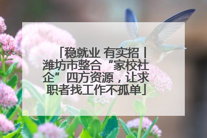 稳就业 有实招丨潍坊市整合“家校社企”四方资源，让求职者找工作不孤单